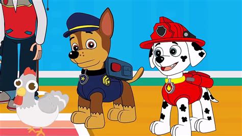 psi patrol cała bajka.